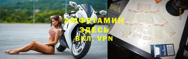 прущие грибы Нефтегорск